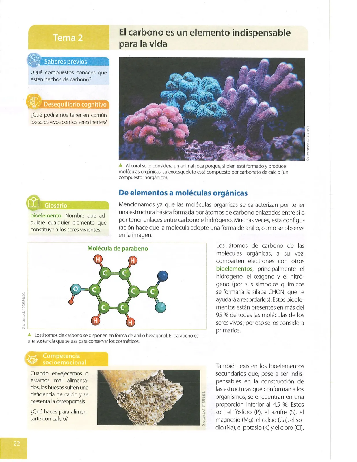 Página 23 de Ciencias Naturales · 9 EGB · 2024