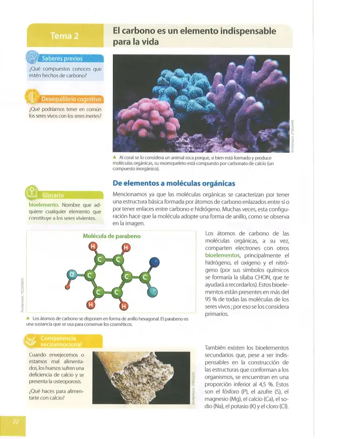Página 23 de Ciencias Naturales 9° · 2025