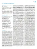 Miniatura página 252 de Múltiples lenguajes.   Libro de Educación Primaria Grado 1°  Ciclo Escolar 2025 - 2026