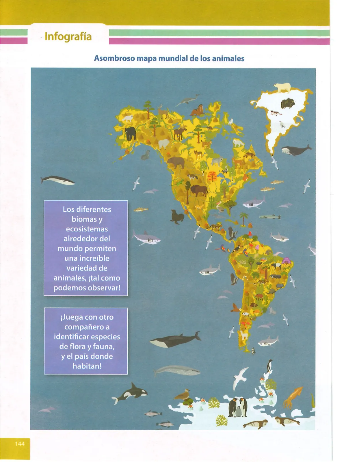 Miniatura página 145 de Ciencias Naturales · 9 EGB · 2024