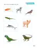 Miniatura página 104 de Ciencias Naturales – Segundo Básico | Texto del Estudiante MINEDUC – Descargar PDF · 2024