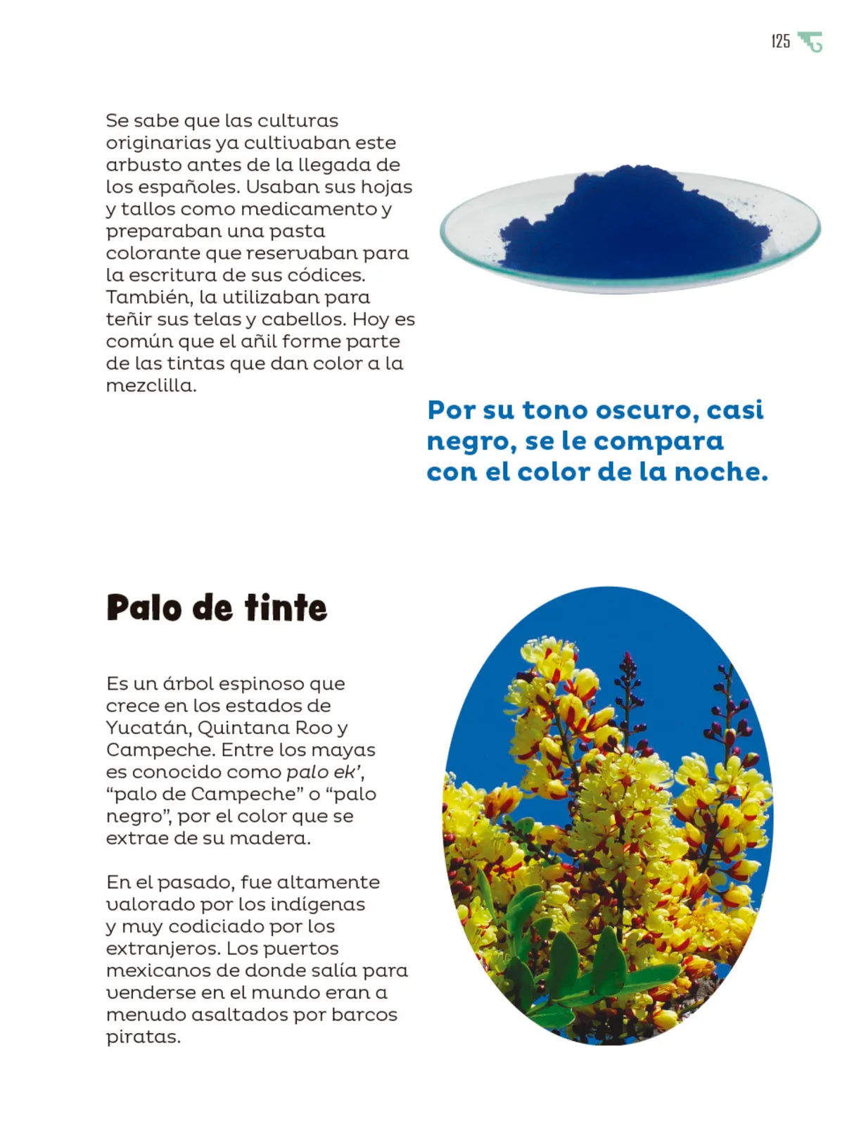 Miniatura página 126 de Múltiples lenguajes.   Libro de Educación Primaria Grado 6°  Ciclo Escolar 2025 - 2026