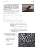 Miniatura página 114 de Proyectos de Aula.   Libro de Educación Primaria Grado 1°  Ciclo Escolar 2025 - 2026