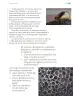 Miniatura página 114 de Proyectos de Aula.   Libro de Educación Primaria Grado 1°  Ciclo Escolar 2025 - 2026