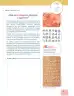 Miniatura página 16 de Lengua y Literatura 7° · 2025