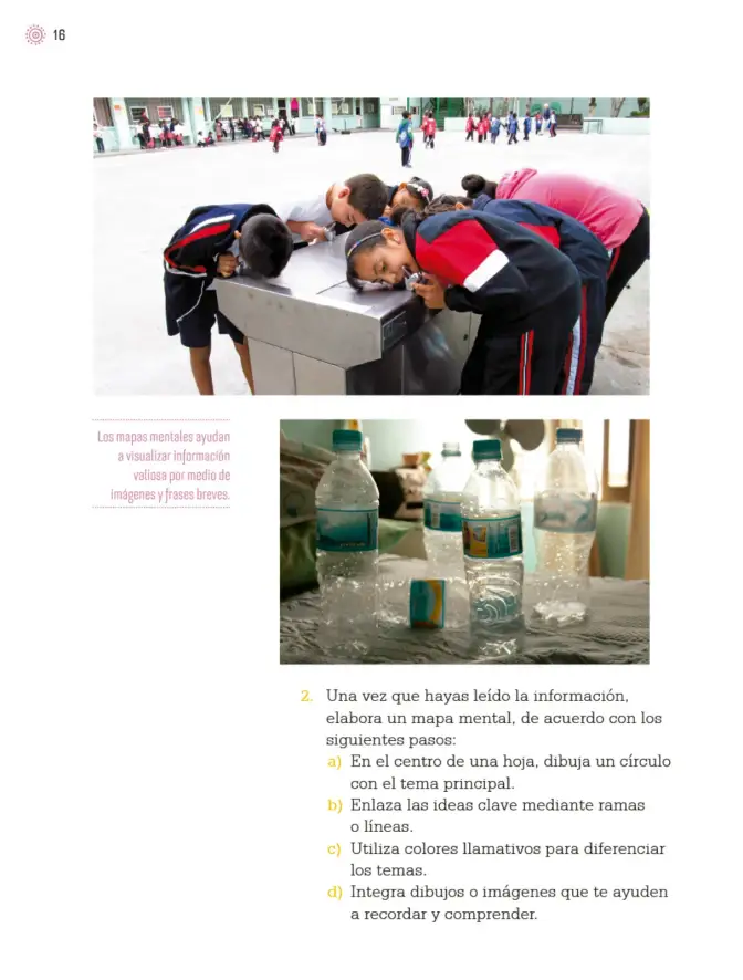 Página 19 de Proyectos de Aula. Libro de Educación Primaria Grado 3° Ciclo Escolar 2025 - 2026