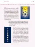 Miniatura página 144 de Nuestros saberes: Libro para alumnos, maestros y familia.   Libro de Educación Primaria Grado 4°  Ciclo Escolar 2025 - 2026