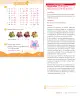 Miniatura página 53 de Sumo Primero – Segundo Básico | Texto del Estudiante MINEDUC – Descargar PDF · 2024
