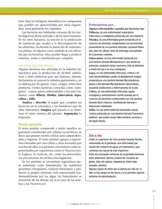 Página 179 de Ciencias Naturales 6° · Secundaria Activa
