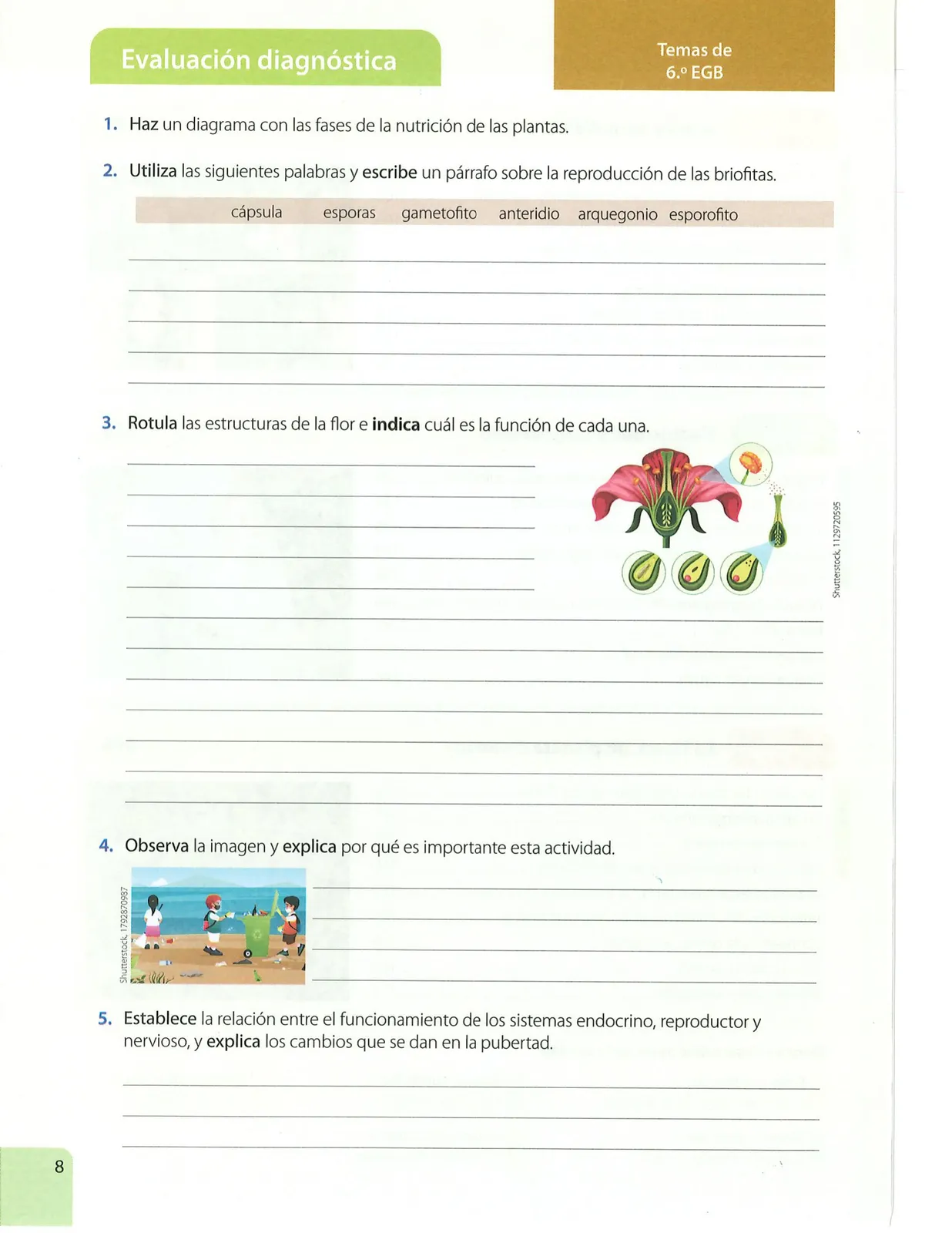 Pág 7