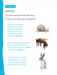 Pág 43