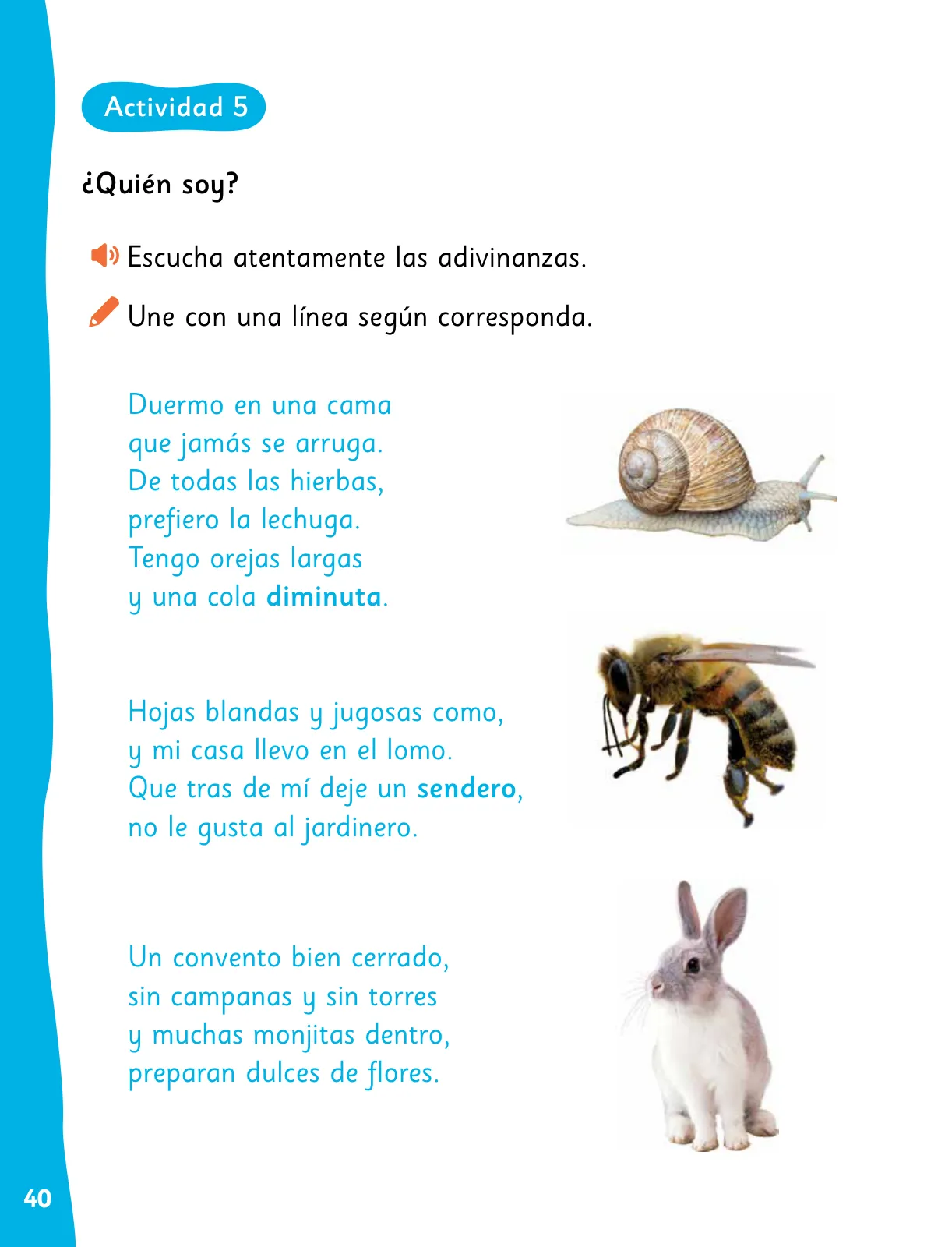 Pág 43