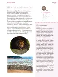 Miniatura página 112 de Nuestros saberes: Libro para alumnos, maestros y familia.   Libro de Educación Primaria Grado 4°  Ciclo Escolar 2025 - 2026