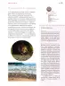 Miniatura página 112 de Nuestros saberes: Libro para alumnos, maestros y familia.   Libro de Educación Primaria Grado 4°  Ciclo Escolar 2025 - 2026