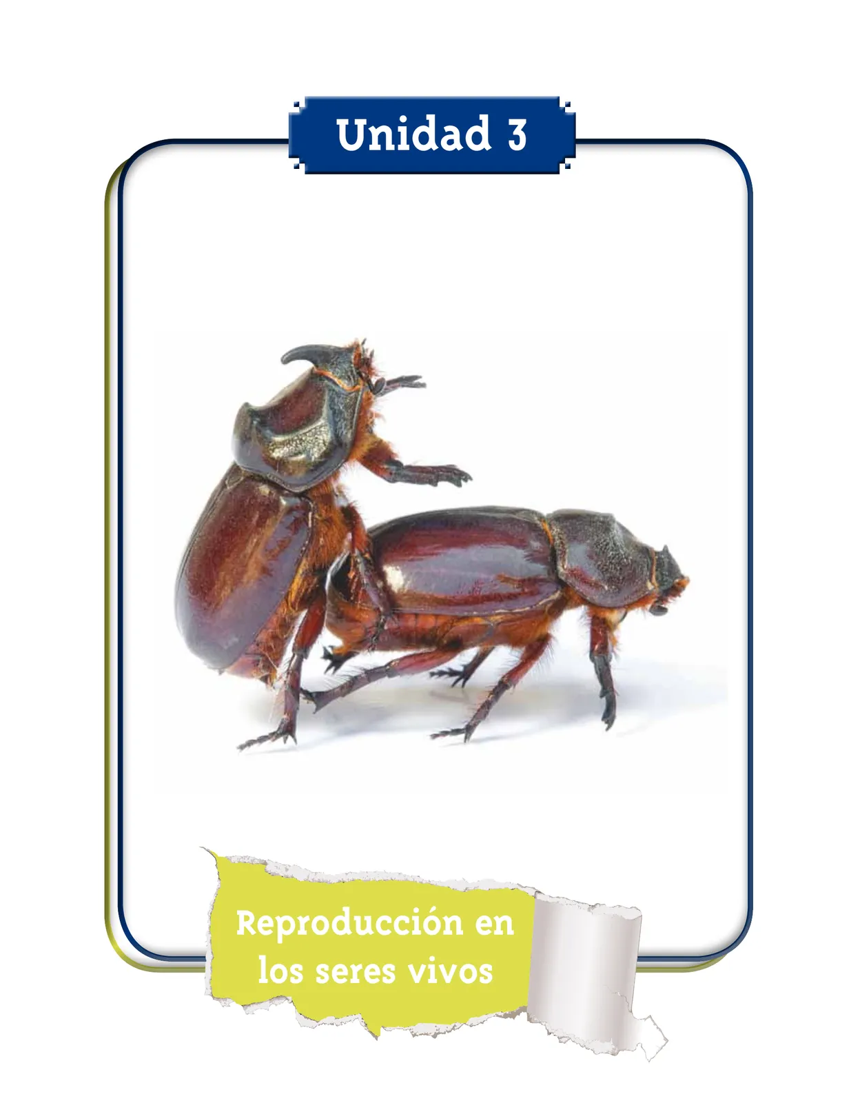 Página 53 de Ciencias Naturales 4° · Cartilla 01