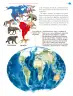 Miniatura página 22 de Nuestros saberes: México, grandeza y diversidad.   Libro de Educación Primaria Grado 4°  Ciclo Escolar 2025 - 2026