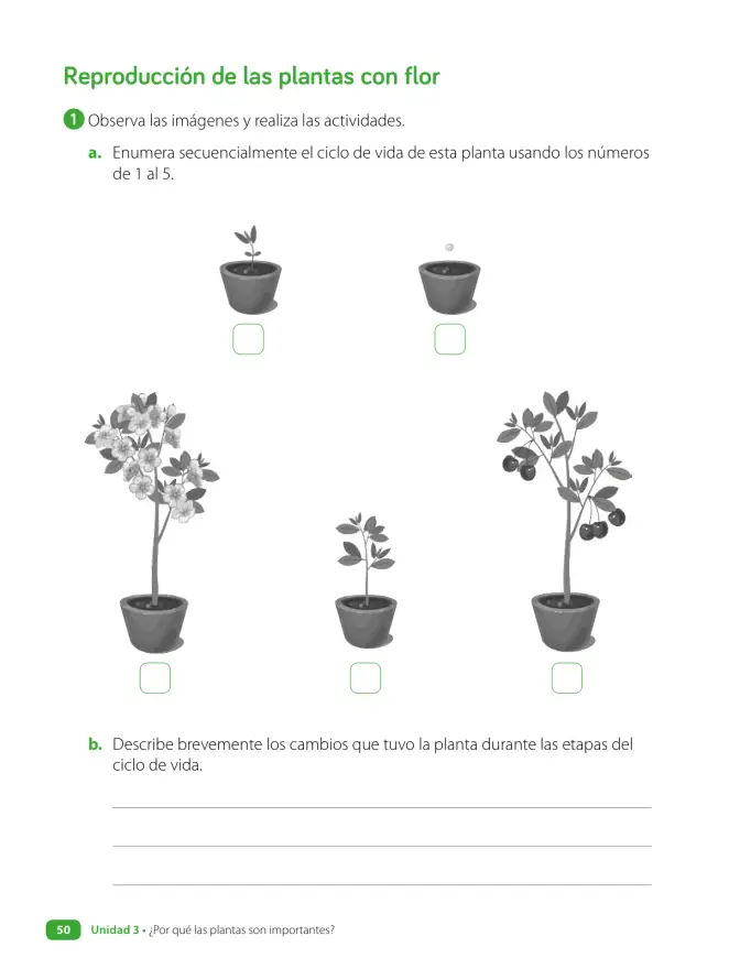 Página 52 de Ciencias Naturales – Tercero Básico | Texto del Estudiante MINEDUC – Descargar PDF · 2024