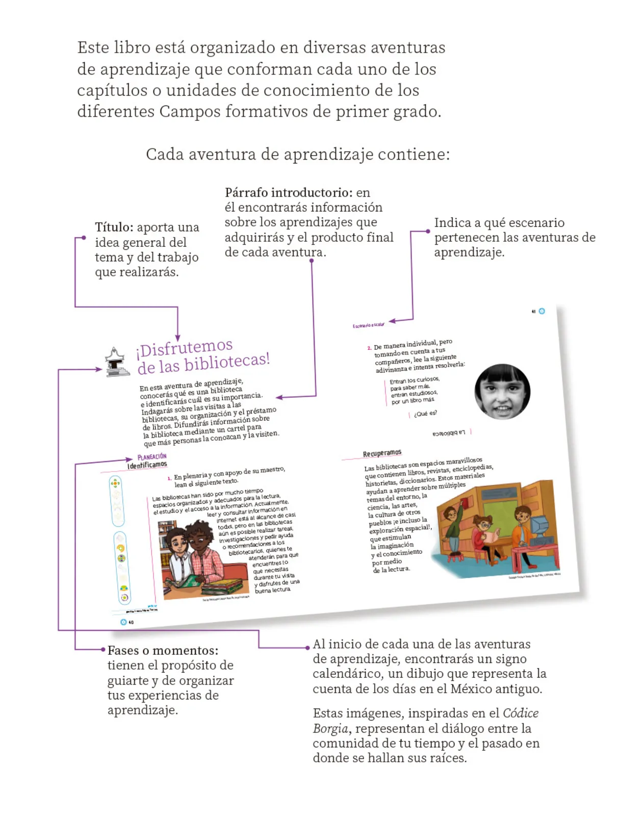 Miniatura página 6 de Proyectos Escolares.   Libro de Educación Primaria Grado 1°  Ciclo Escolar 2025 - 2026