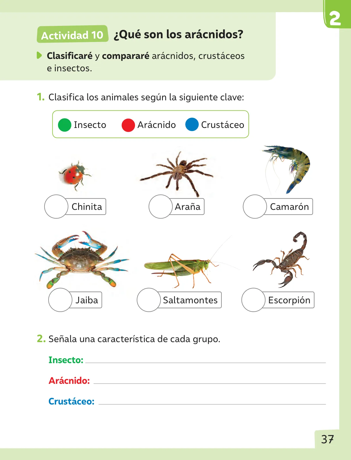 Página 38 de Ciencias Naturales – Segundo Básico | Texto del Estudiante MINEDUC – Descargar PDF · 2024
