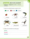 Miniatura página 38 de Ciencias Naturales – Segundo Básico | Texto del Estudiante MINEDUC – Descargar PDF · 2024