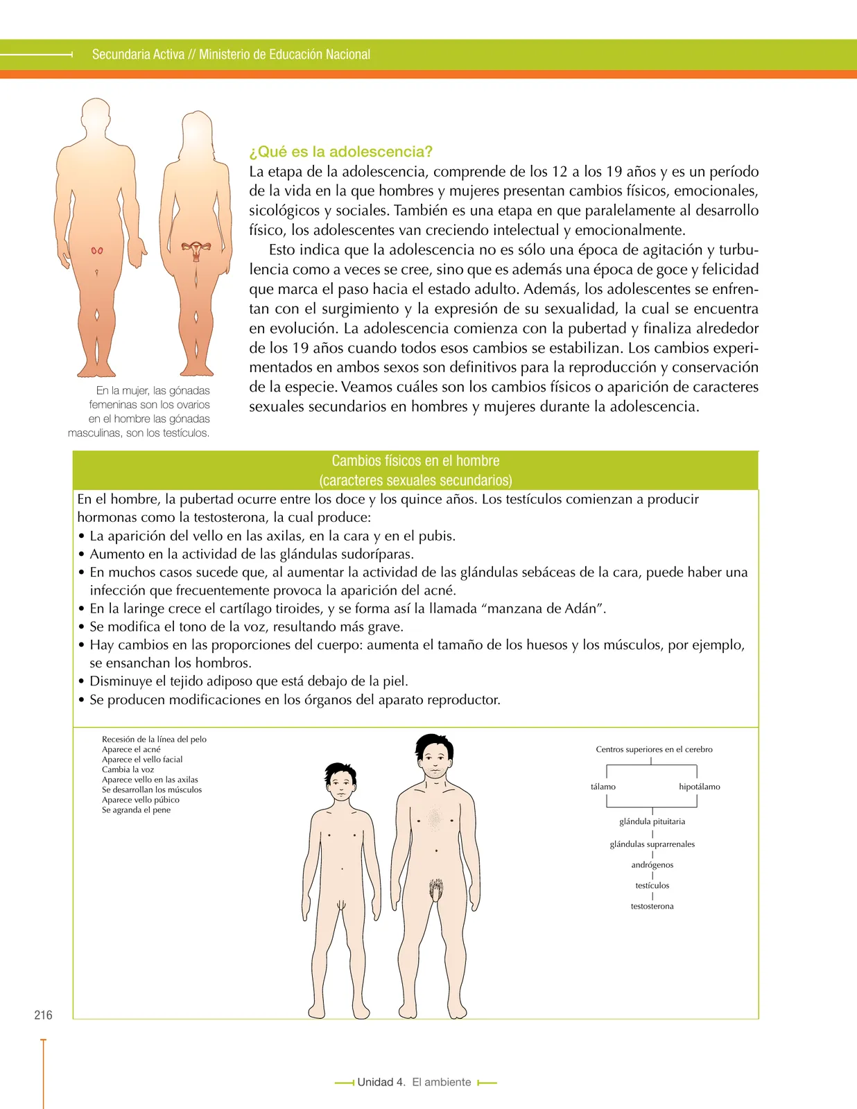 Página 216 de Ciencias Naturales 7° · Secundaria Activa