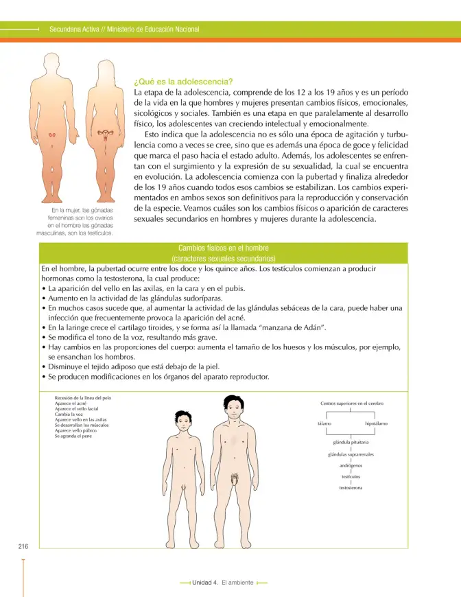 Página 216 de Ciencias Naturales 7° · Secundaria Activa