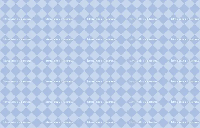 Página 35 de Jugar e imaginar con mi material manipulable de Preescolar. Libro de Educación Preescolar Grado 3° Ciclo Escolar 2025 - 2026