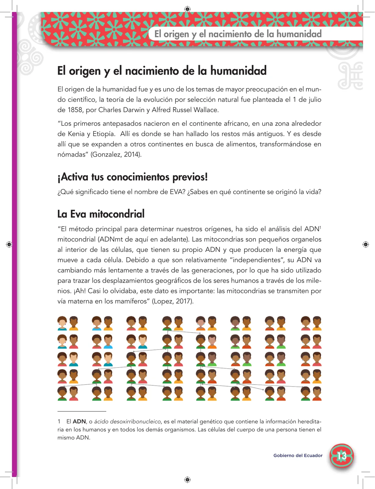 Pág 15