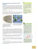 Miniatura página 32 de Ciencias Naturales 10° · 2025
