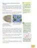 Miniatura página 32 de Ciencias Naturales 10° · 2025