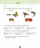 Miniatura página 119 de Ciencias Naturales – Segundo Básico | Texto del Estudiante MINEDUC – Descargar PDF · 2024
