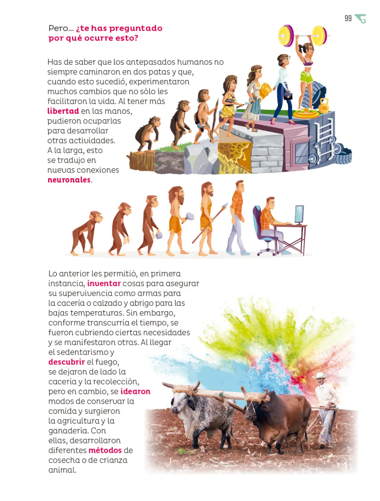 Miniatura página 100 de Múltiples lenguajes.   Libro de Educación Primaria Grado 5°  Ciclo Escolar 2025 - 2026