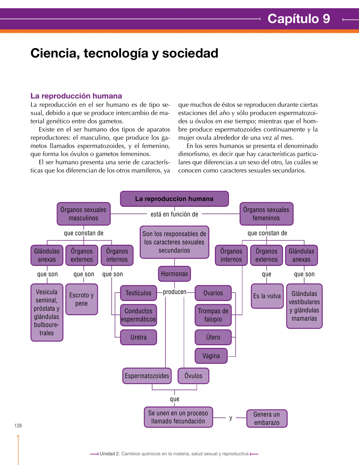 Página 126 de Ciencias Naturales 8° · Secundaria Activa