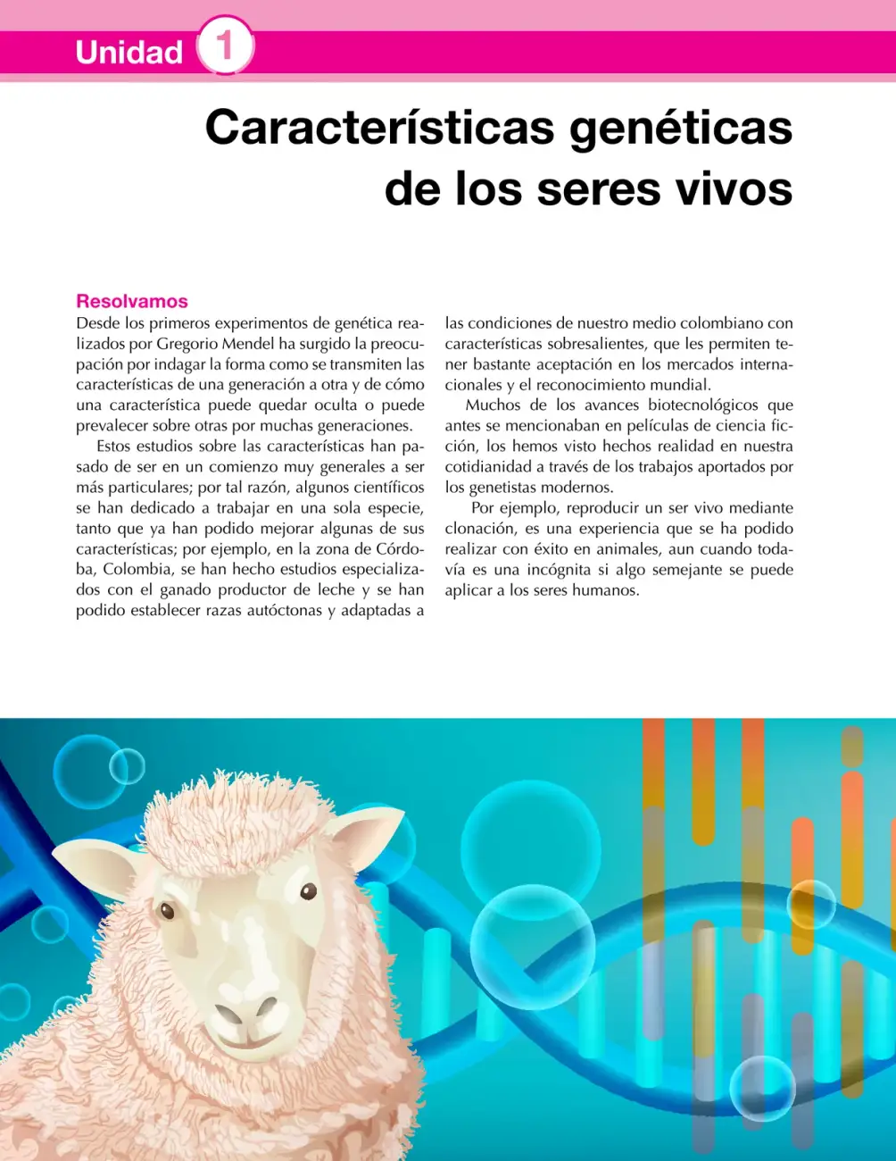 Página 14