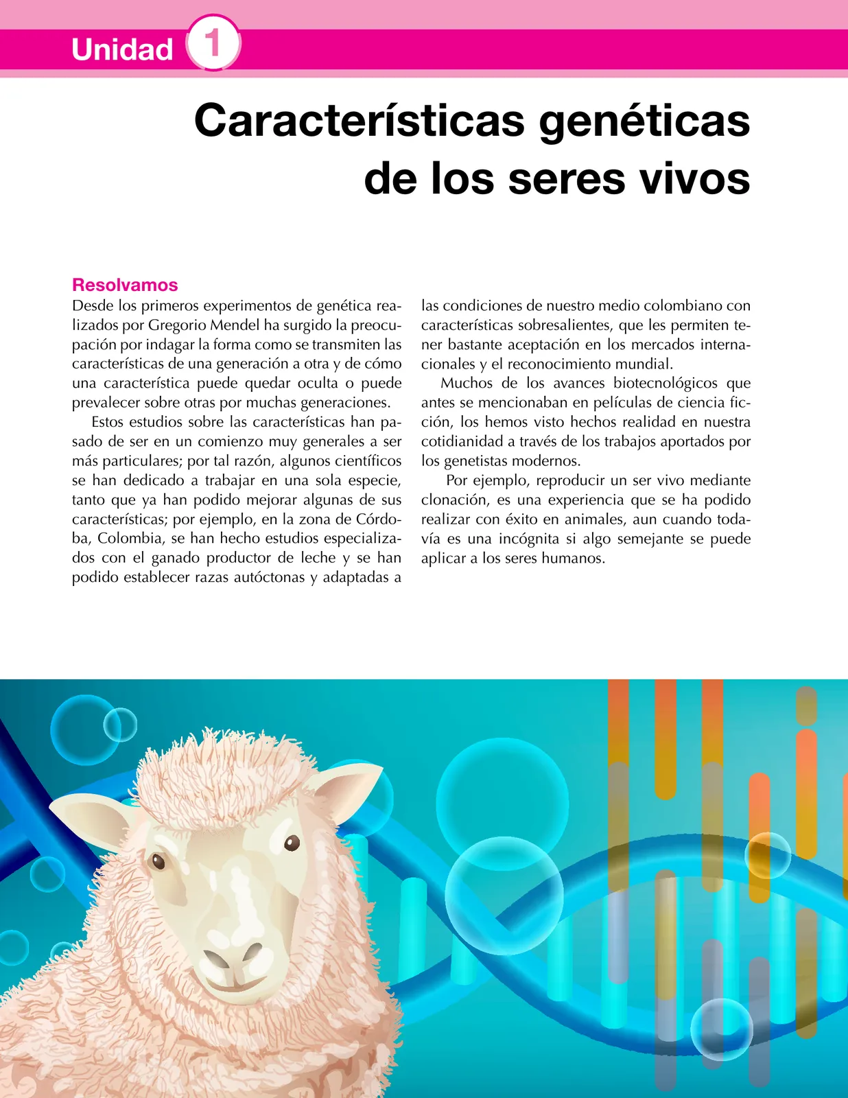 Pág 14