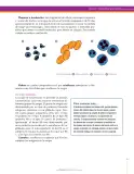 Miniatura página 91 de Ciencias Naturales 7° · Secundaria Activa