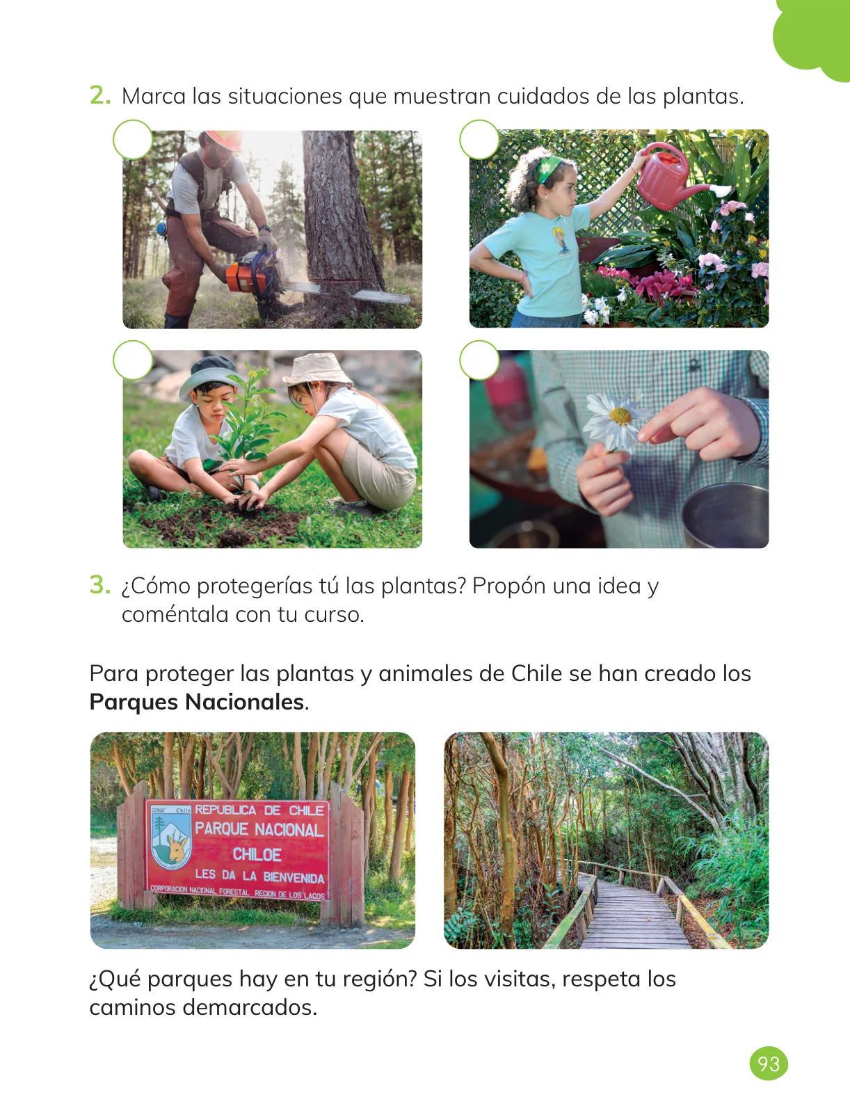 Miniatura página 95 de Ciencias Naturales – Primero Básico | Texto del Estudiante (MINEDUC) – Descargar PDF · 2024