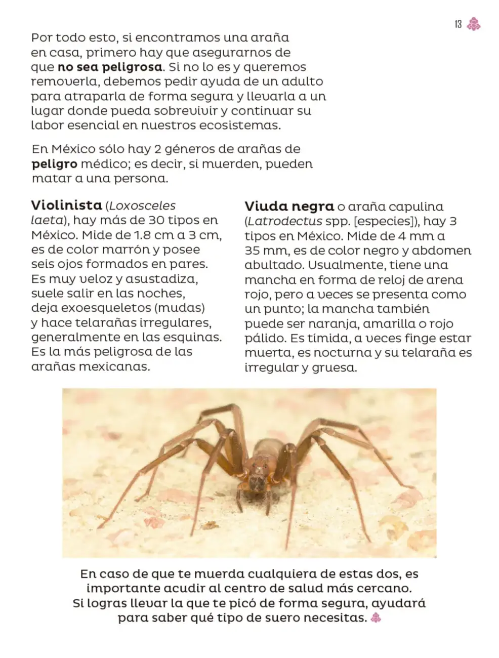 Página 14