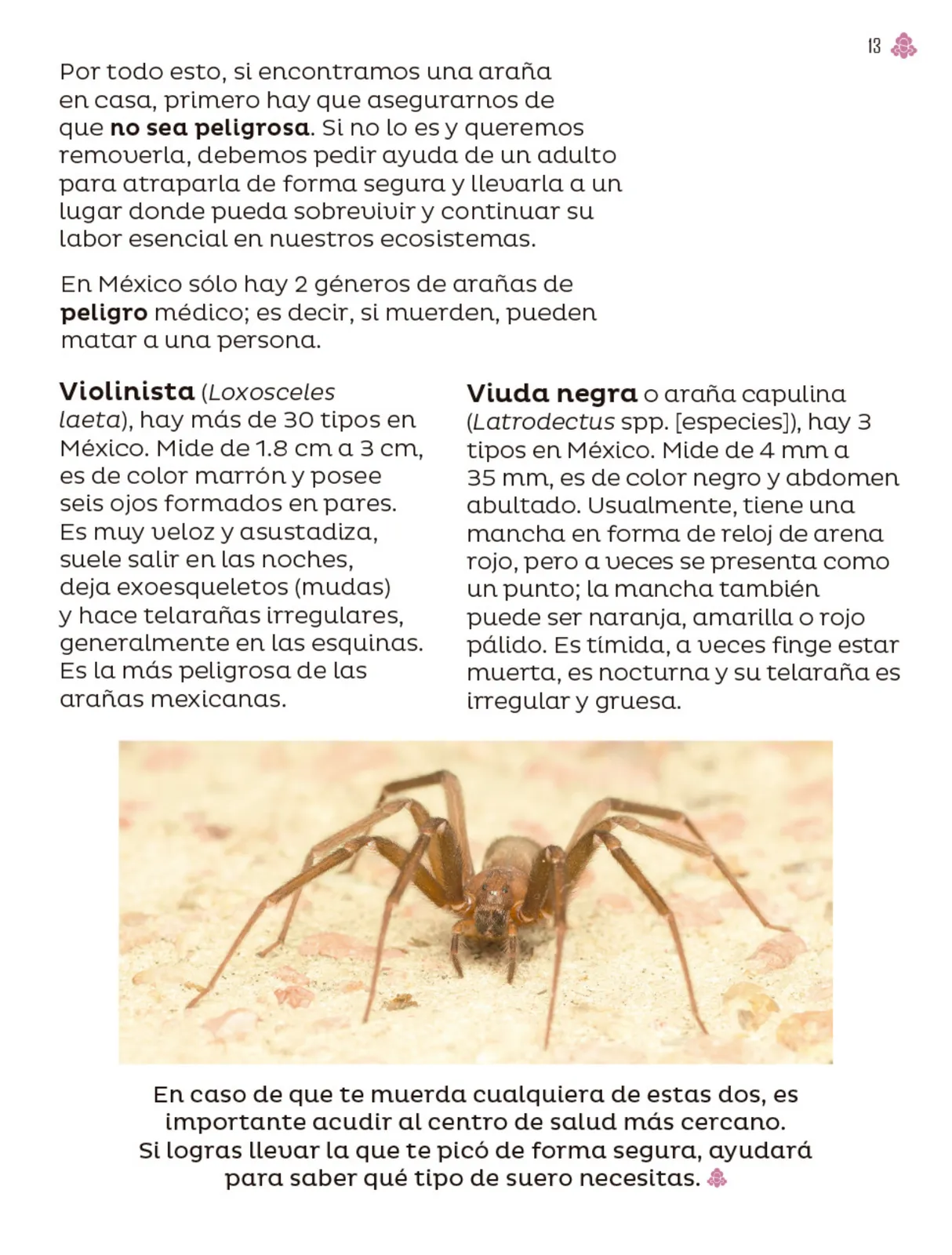 Pág 14