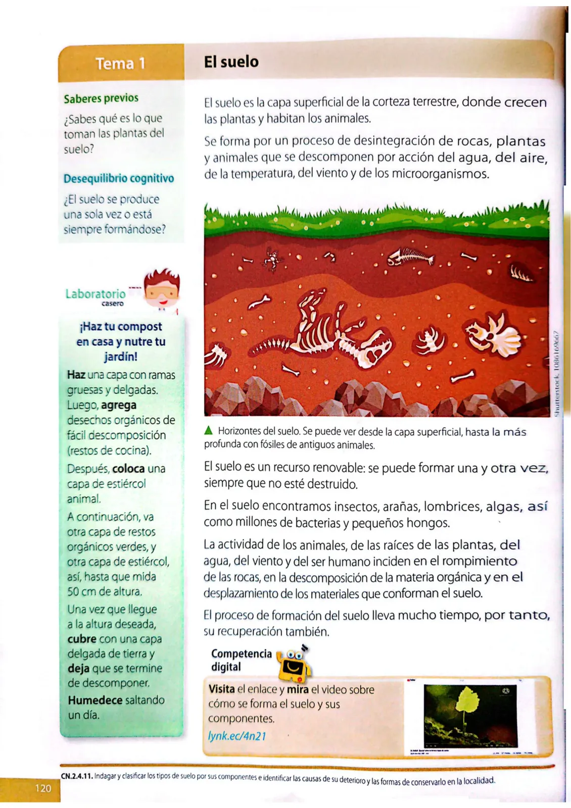 Pág 117