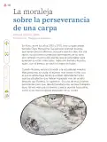 Miniatura página 221 de Múltiples lenguajes.   Libro de Educación Primaria Grado 3°  Ciclo Escolar 2025 - 2026