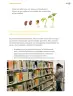 Miniatura página 158 de Proyectos Comunitarios.   Libro de Educación Primaria Grado 3°  Ciclo Escolar 2025 - 2026