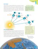 Miniatura página 81 de Libro de Ciencias Naturales – Quinto Básico | Texto del Estudiante MINEDUC – Descargar PDF · 2024