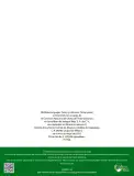 Miniatura página 113 de Múltiples lenguajes. Trazos y números.   Libro de Educación Primaria Grado 1°  Ciclo Escolar 2025 - 2026