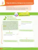 Miniatura página 205 de Libro de Ciencias Naturales – Quinto Básico | Texto del Estudiante MINEDUC – Descargar PDF · 2024