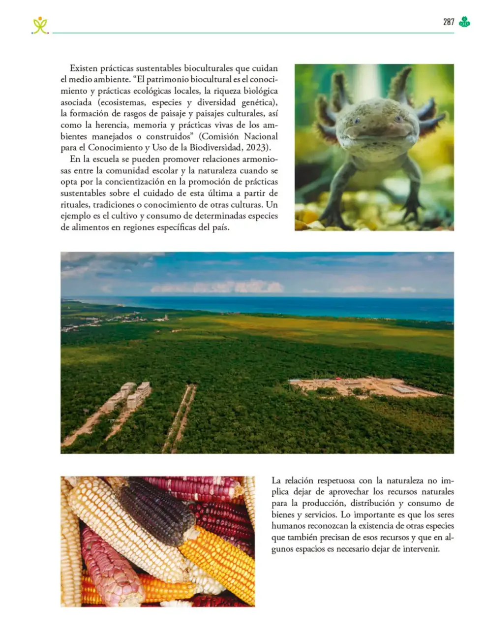 Página 288