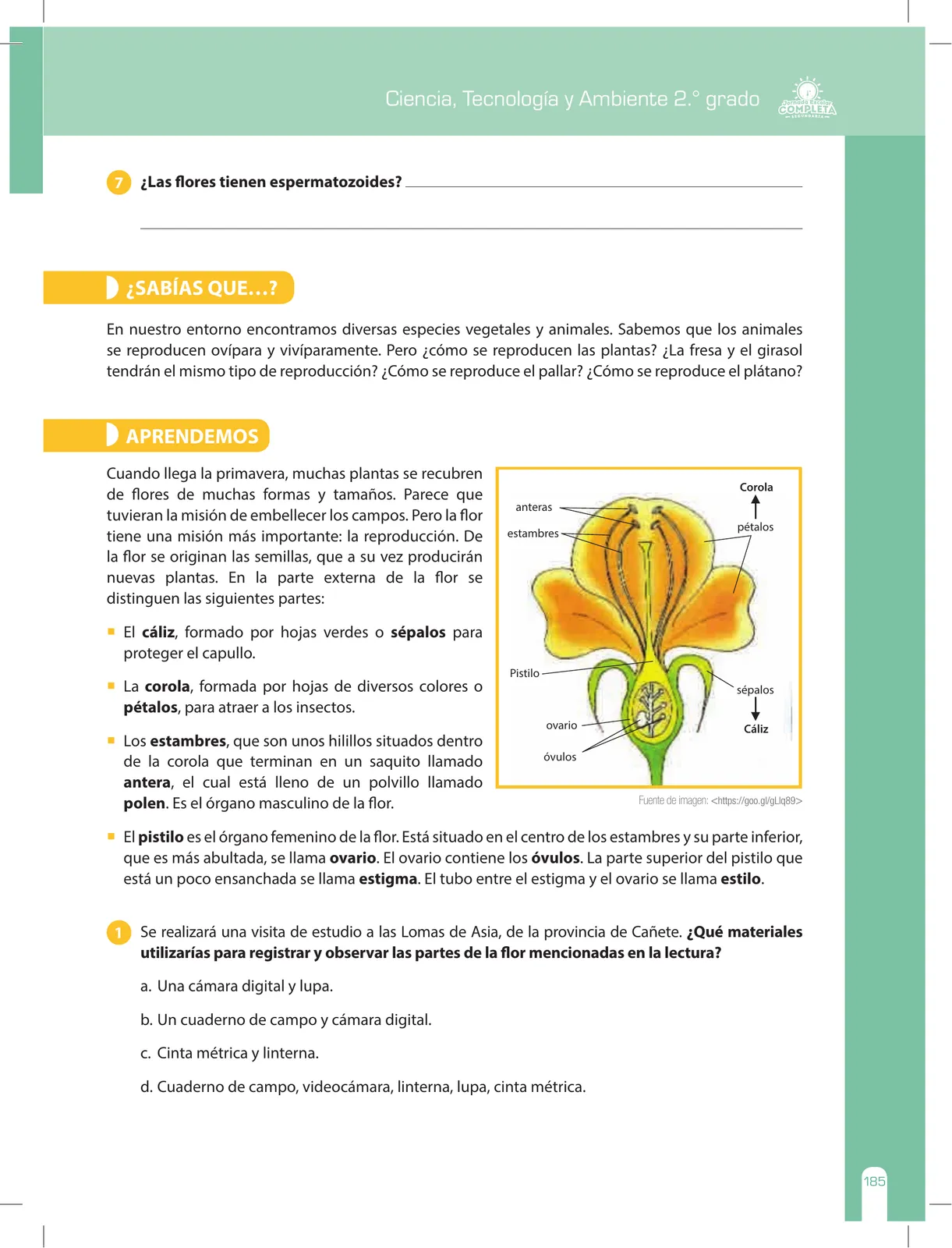 Página 185 de Ciencia, Tecnología y Ambiente 2 : cuaderno de reforzamiento pedagógico - JEC · 2016