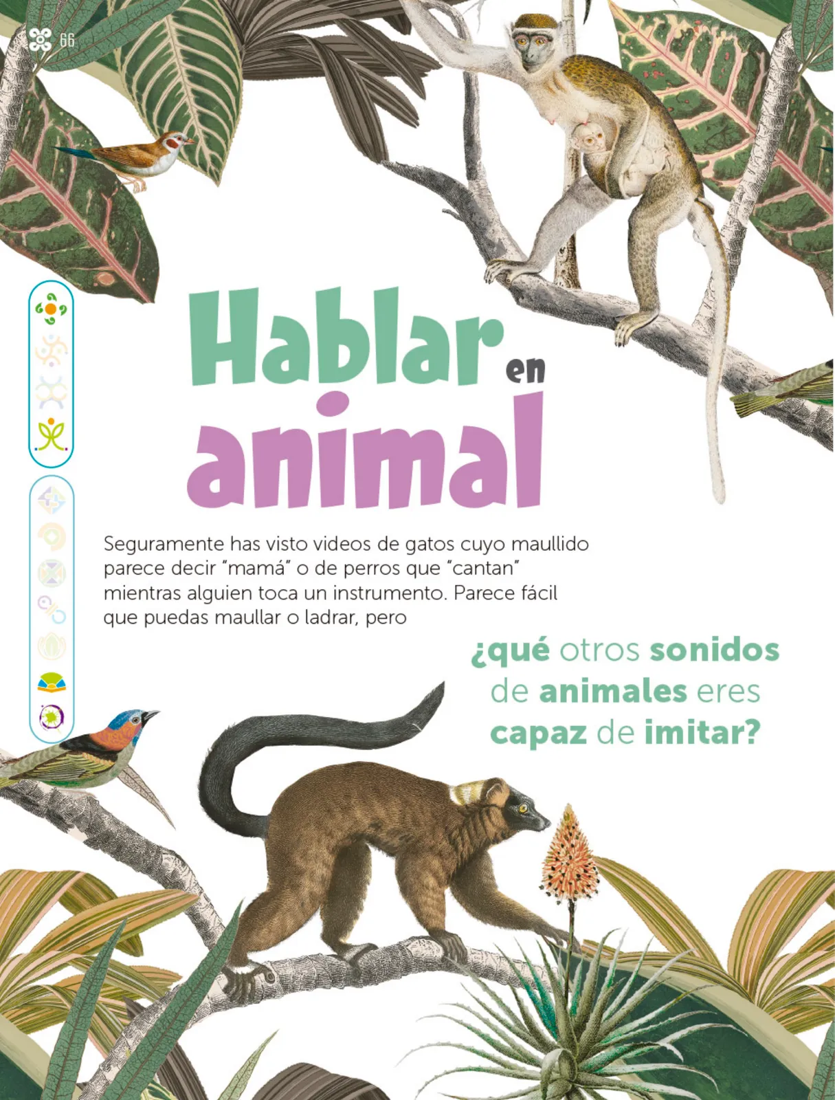 Página 67 de Múltiples lenguajes. Libro de Educación Primaria Grado 1° Ciclo Escolar 2025 - 2026