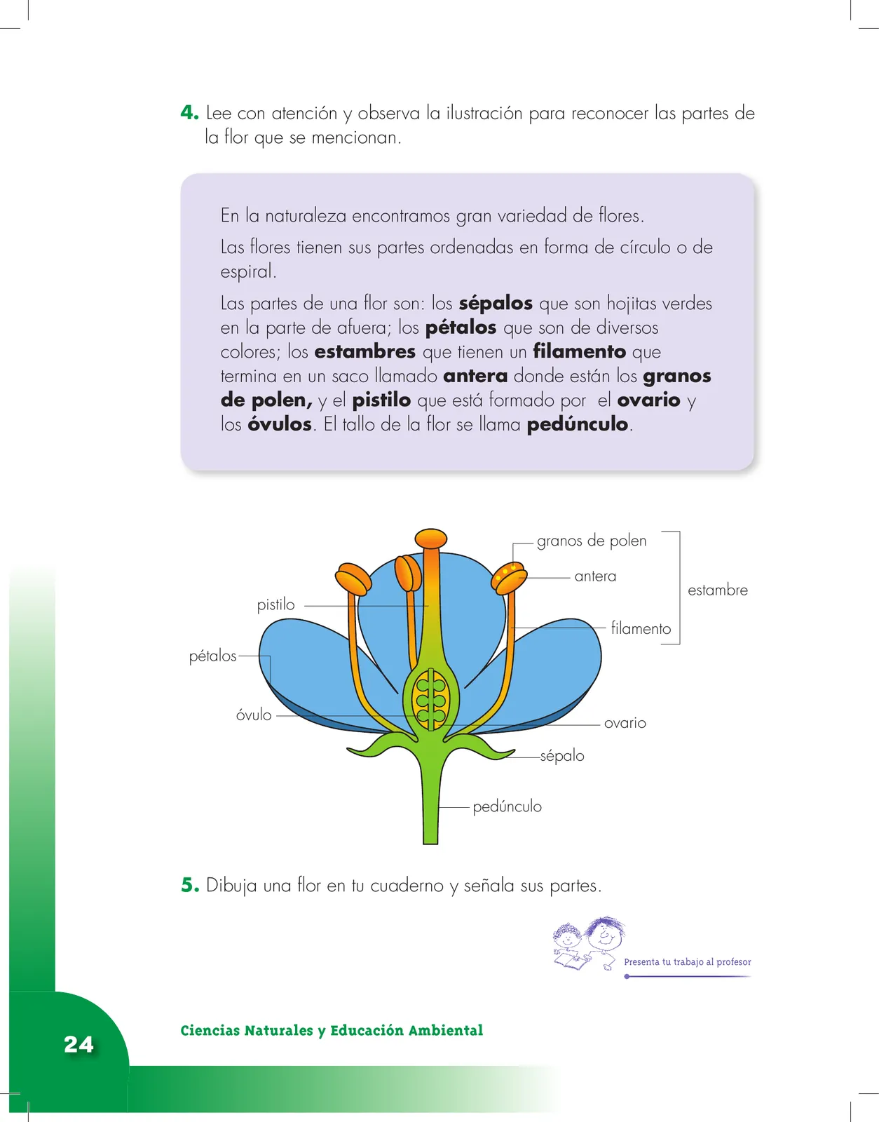 Página 24 de Ciencias Naturales 3° · Cartilla 01