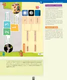 Miniatura página 102 de Ciencias Naturales – Primero Básico | Texto del Estudiante (MINEDUC) – Descargar PDF · 2024
